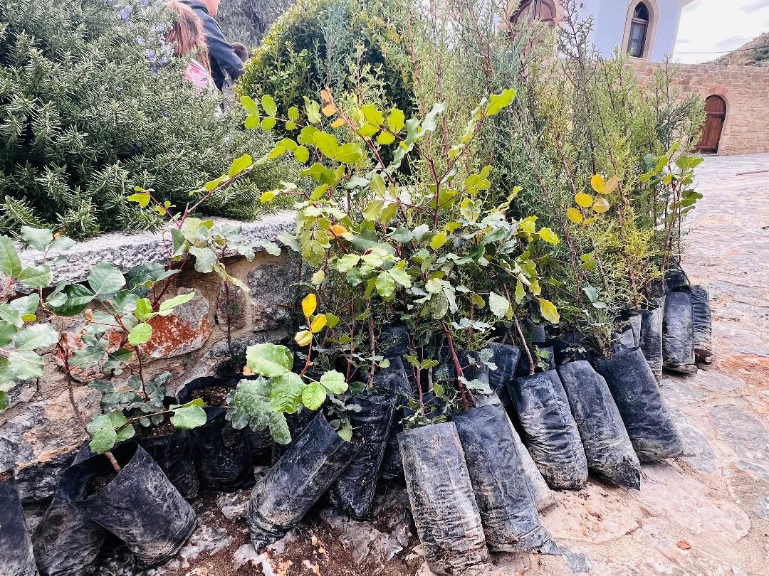 Ο Ροταριανός Όμιλος Ρόδου φύτεψε το μέλλον στην καμένη δασική έκταση της Ιεράς Μονής Παναγίας Υψενής