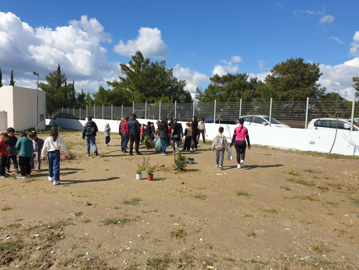 2ο Δημοτικό Σχολείο Αρχαγγέλου: Ένα Σχολείο που «Ανθίζει» με τη Δύναμη της Συνεργασίας