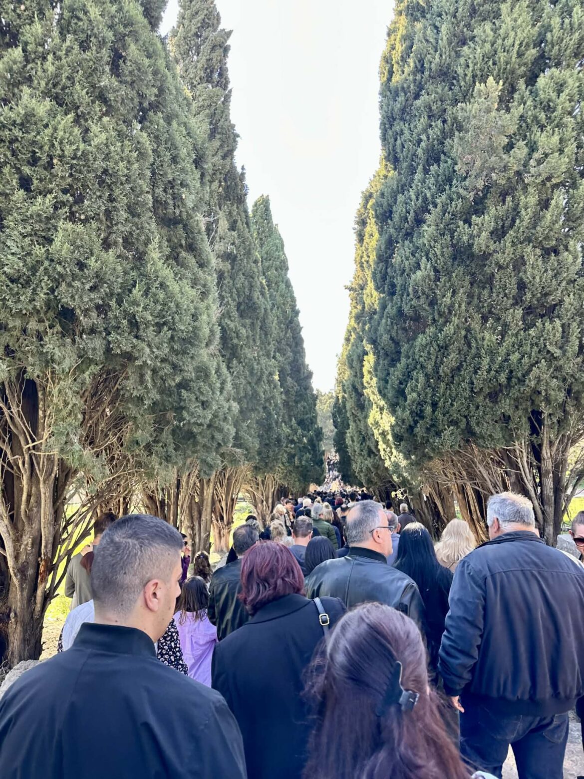 Αυτόματο προσχέδιο