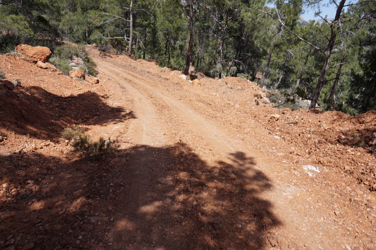 Γιάννης Βογιατζής στον RV: Νίκη των πολιτών απέναντι στην αυθαιρεσία. Αναδασωτέα η έκταση στον Ακραμύτη μετά την παράνομη διάνοιξη δρόμου (audio)