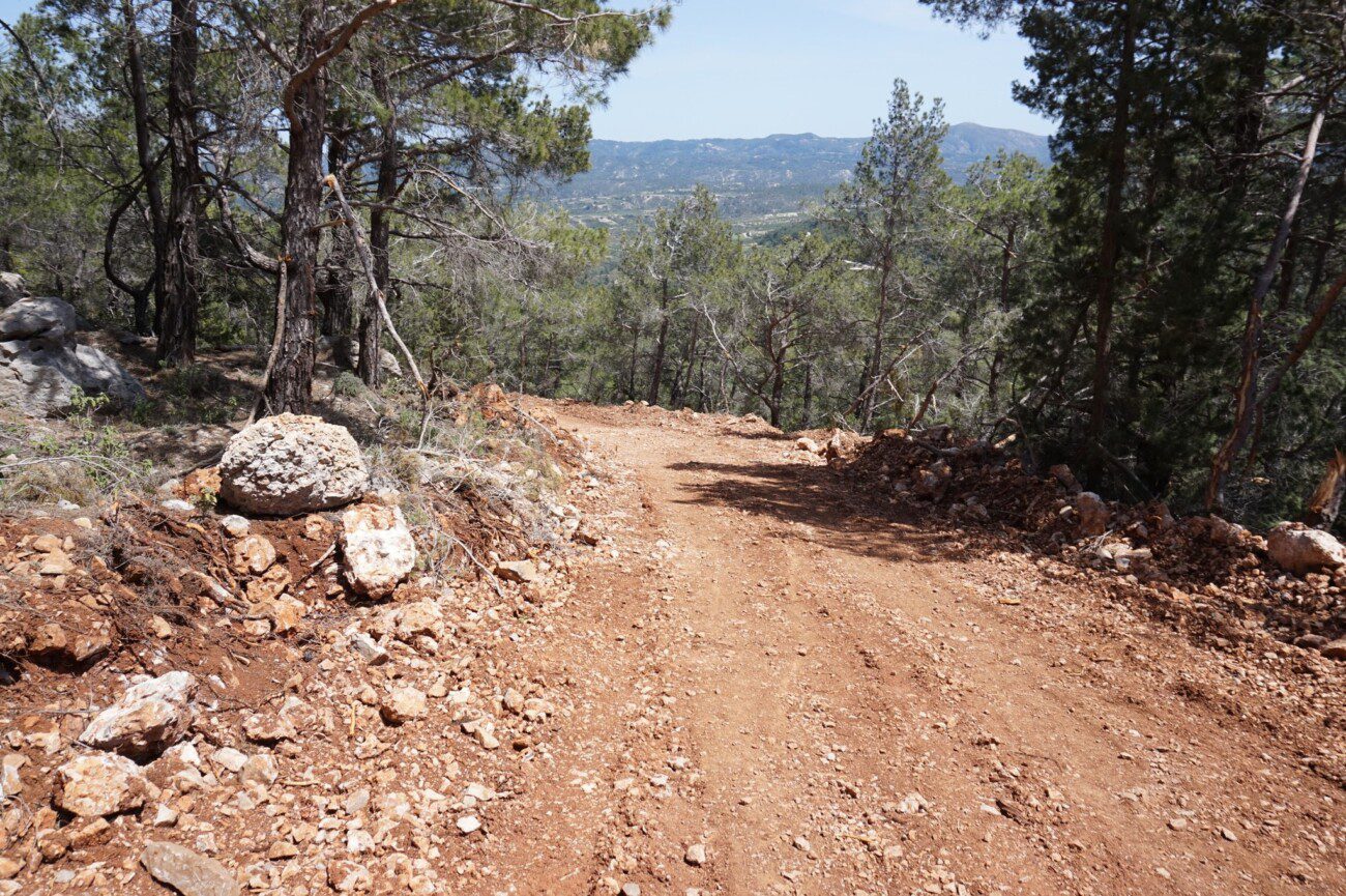 Γιάννης Βογιατζής στον RV: Νίκη των πολιτών απέναντι στην αυθαιρεσία. Αναδασωτέα η έκταση στον Ακραμύτη μετά την παράνομη διάνοιξη δρόμου (audio)
