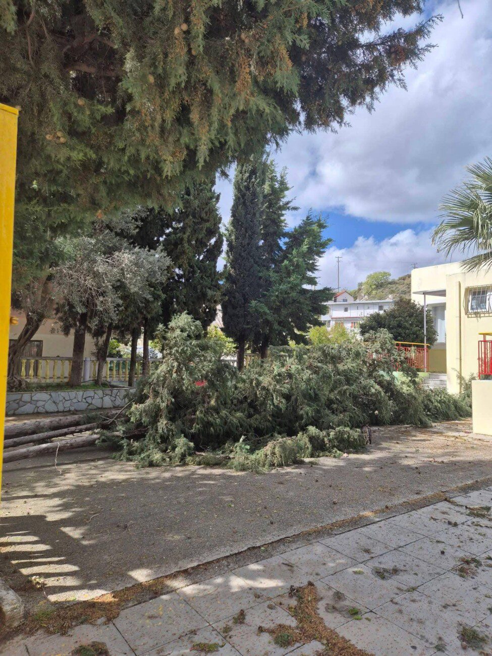 Πτώση δέντρων σε νηπιαγωγείο στις Καλυθιές λόγω κακοκαιρίας