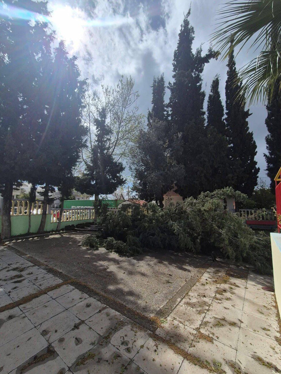 Πτώση δέντρων σε νηπιαγωγείο στις Καλυθιές λόγω κακοκαιρίας