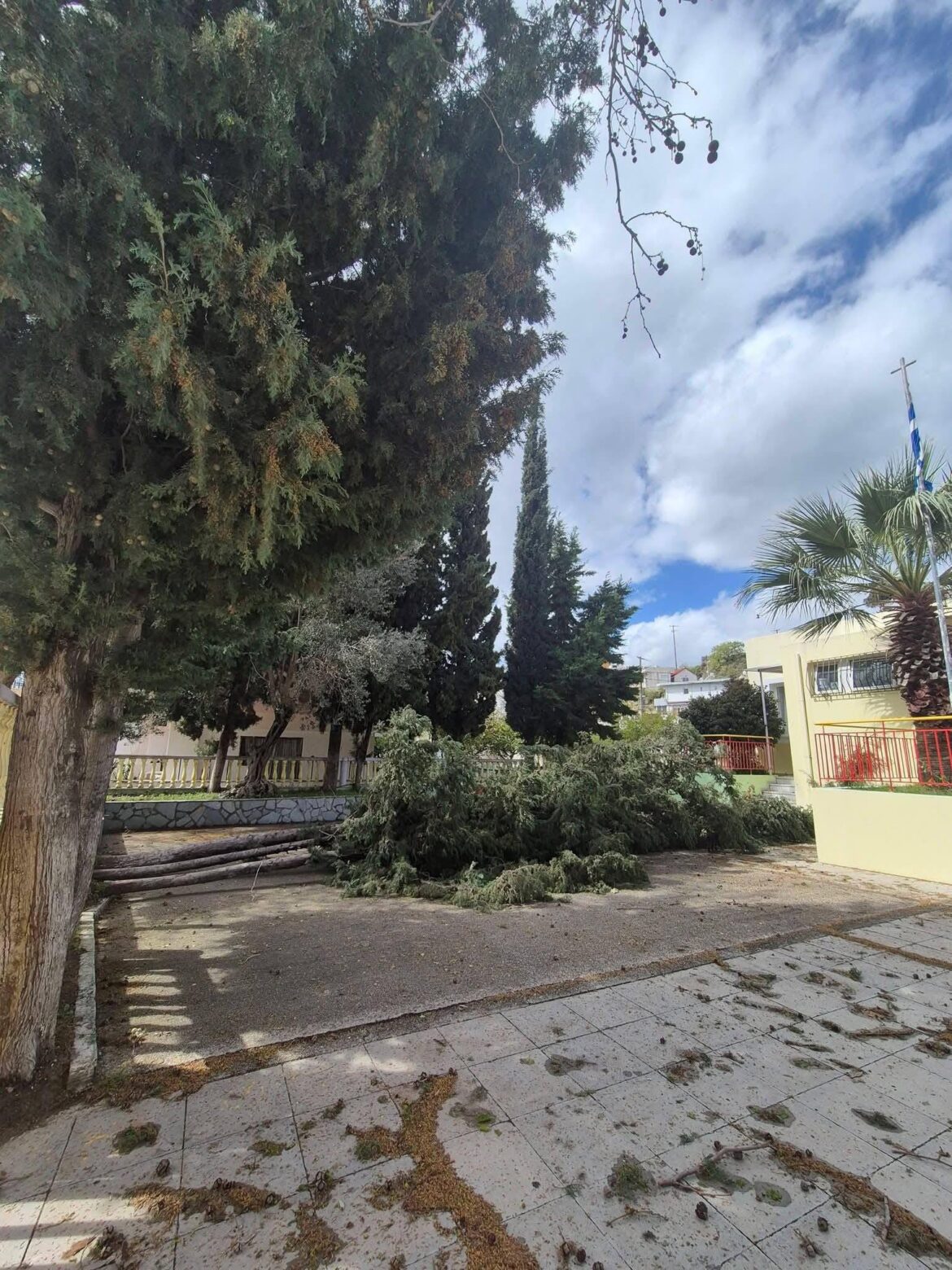 Πτώση δέντρων σε νηπιαγωγείο στις Καλυθιές λόγω κακοκαιρίας