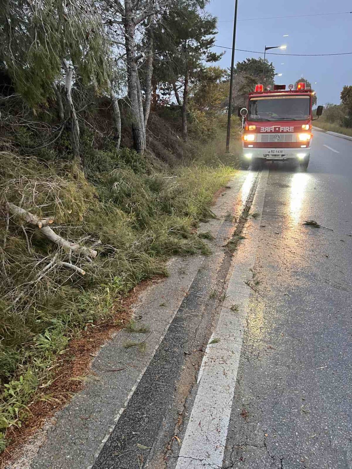 Εννέα επεμβάσεις της Πυροσβεστικής Κω και εθελοντικών ομάδων, για πτώσεις δέντρων λόγω κακοκαιρίας