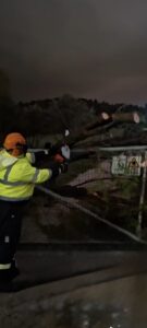 Εννέα επεμβάσεις της Πυροσβεστικής Κω και εθελοντικών ομάδων, για πτώσεις δέντρων λόγω κακοκαιρίας