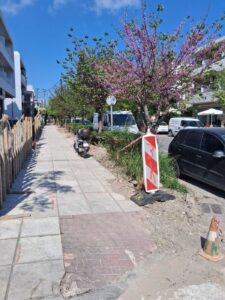 Κως: Σύγχρονο δίκτυο ηλεκτροφωτισμού στην οδό Μακρυγιάννη-Σταδιακά εκτός λειτουργίας το παλαιό δίκτυο