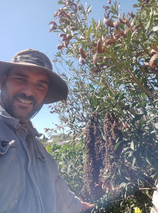Νέα διεθνής διάκριση για τη γαστρονομία του Νοτίου Αιγαίου