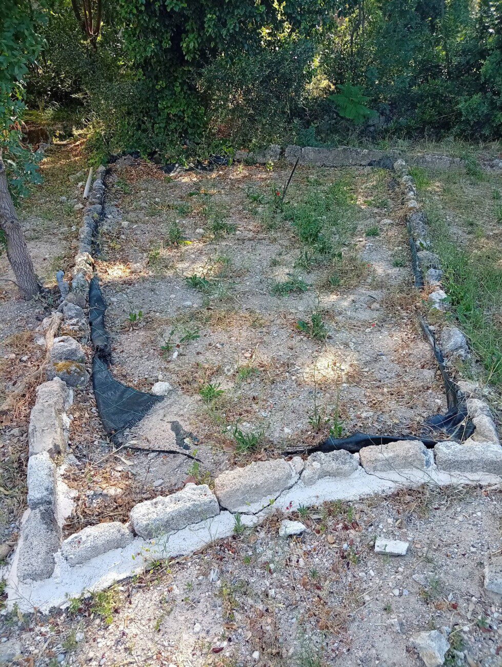 Παναγιώτης Σταμάτης στον RV: “Έτσι «παραδίδεται» η Ροδιακή Έπαυλη στους Ροδίτες” (audio + φωτο)