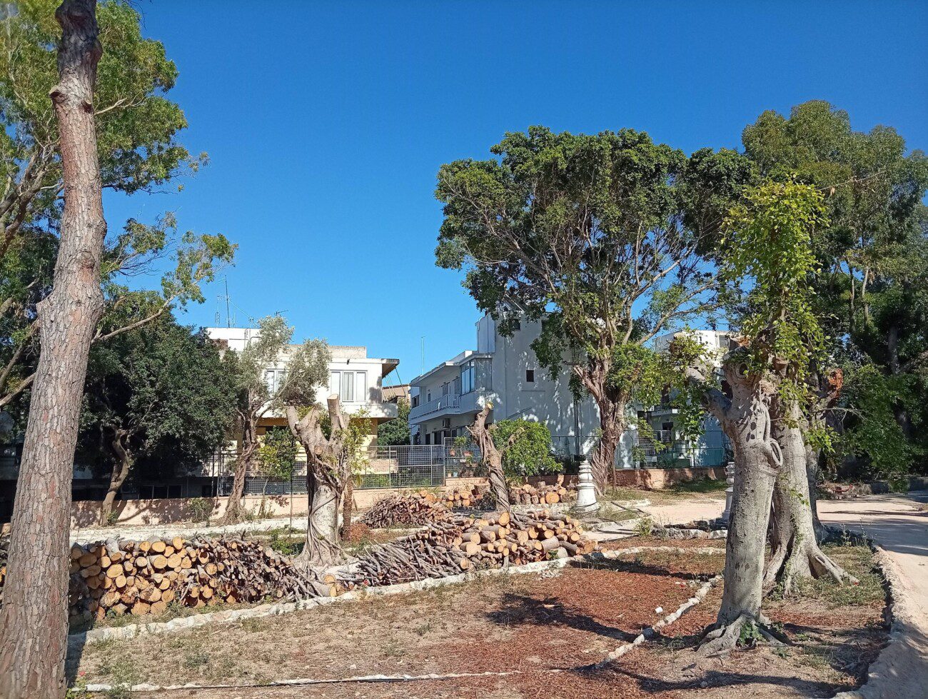 Παναγιώτης Σταμάτης στον RV: “Έτσι «παραδίδεται» η Ροδιακή Έπαυλη στους Ροδίτες” (audio + φωτο)