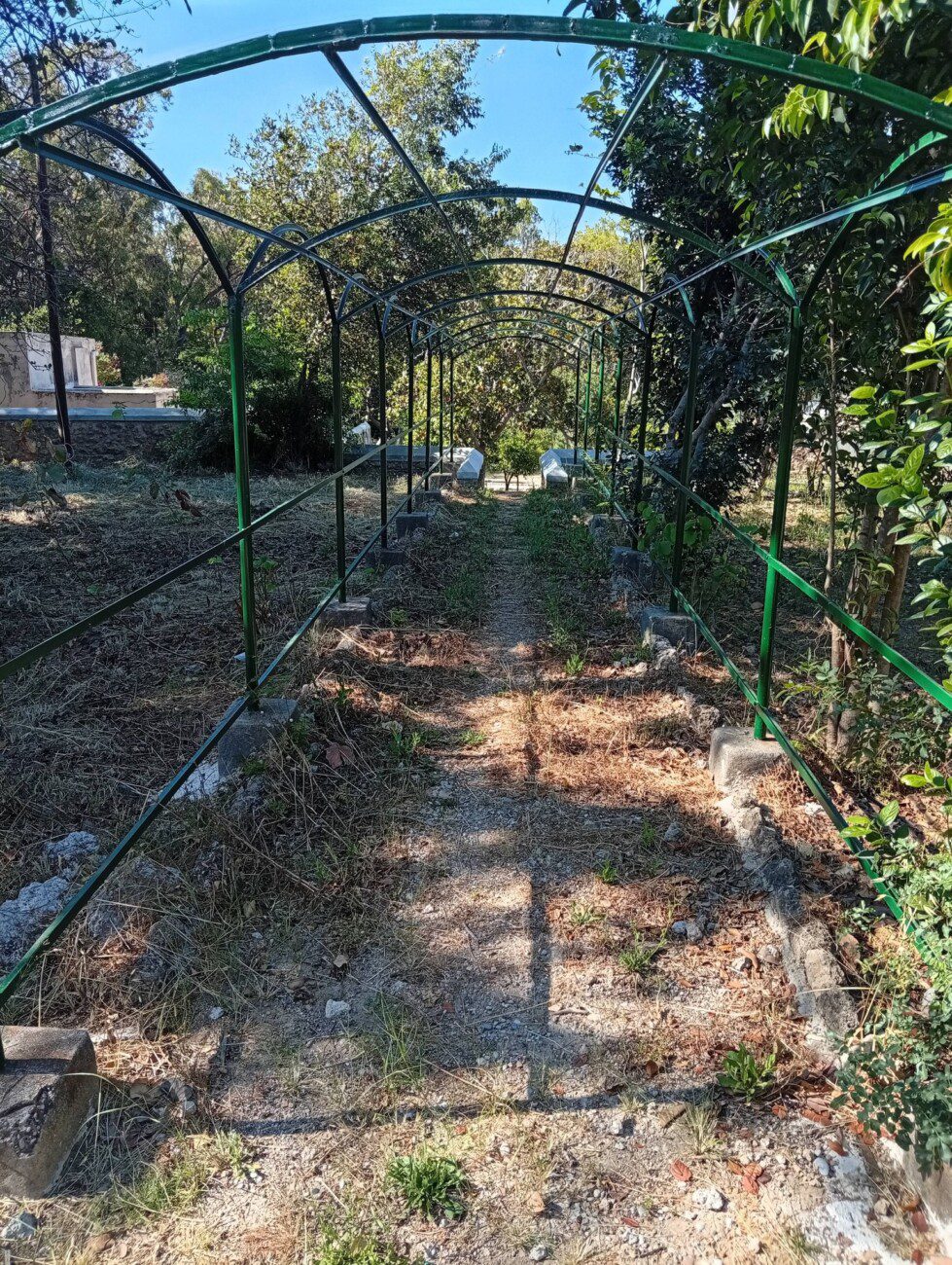 Παναγιώτης Σταμάτης στον RV: “Έτσι «παραδίδεται» η Ροδιακή Έπαυλη στους Ροδίτες” (audio + φωτο)