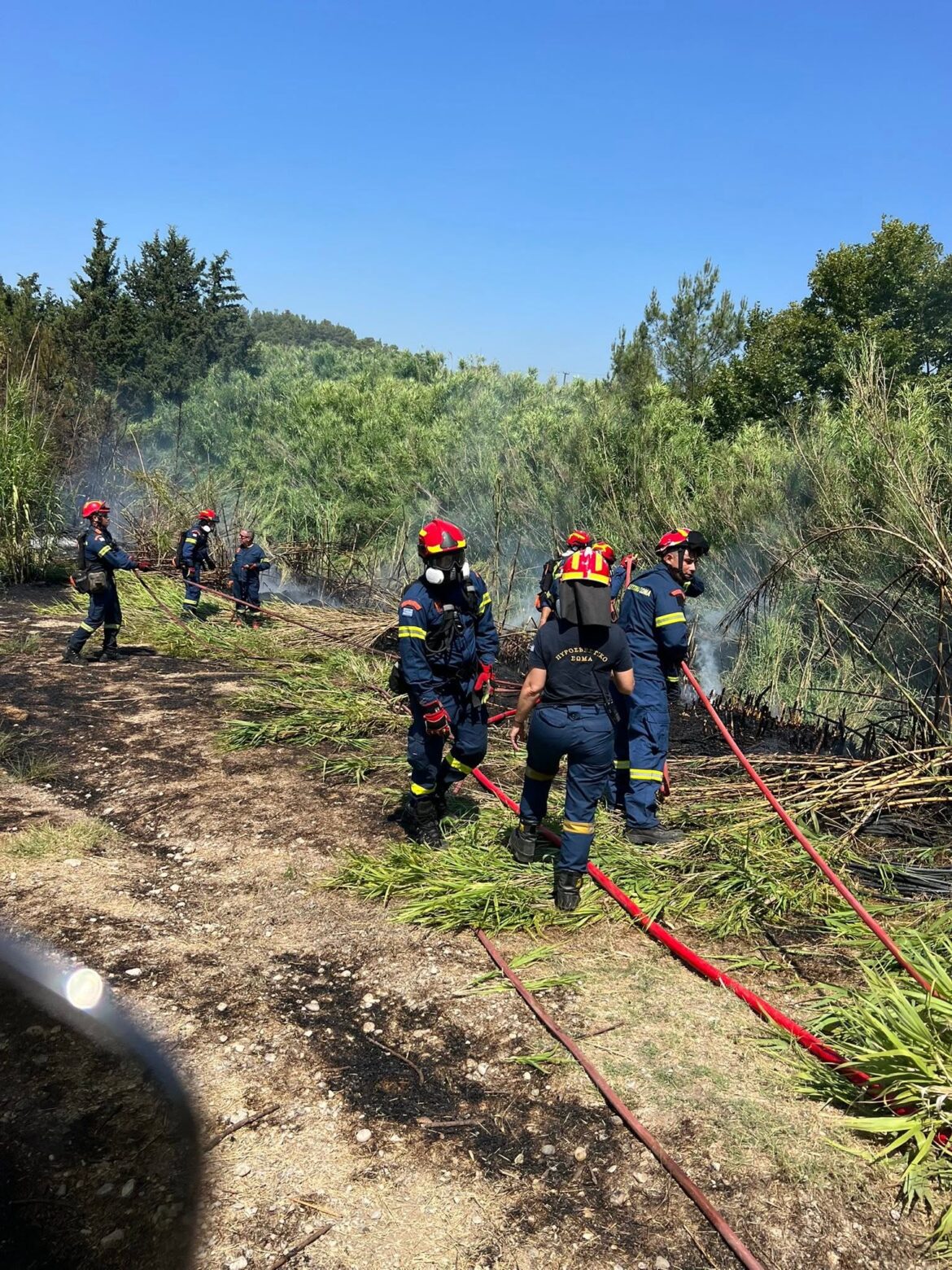 Υπό μερικό έλεγχο η πυρκαγιά στην περιοχή των Πεταλούδων (video -foto)