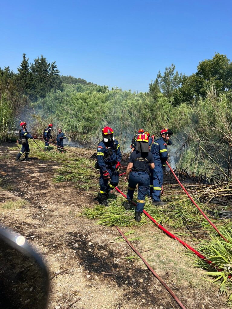 Υπό μερικό έλεγχο η πυρκαγιά στην περιοχή των Πεταλούδων (video -foto)