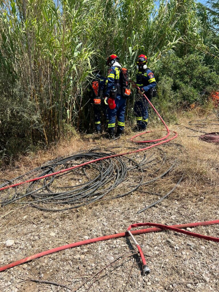 Υπό μερικό έλεγχο η πυρκαγιά στην περιοχή των Πεταλούδων (video -foto)