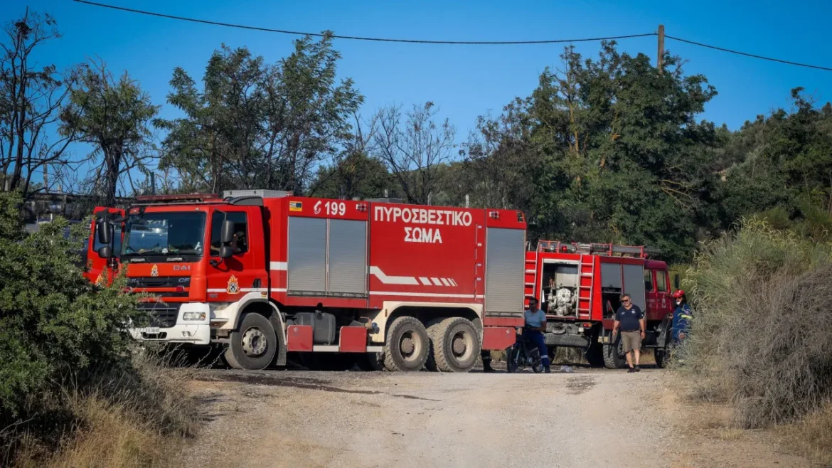 Ρόδος: 56χρονος συνελήφθη για πυρκαγιά από αμέλεια – «Βροχή» προστίμων από την Πυροσβεστική