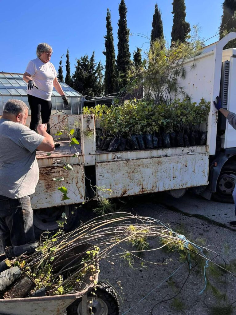 Παγκόσμια Ημέρα Περιβάλλοντος: Το Περιφερειακό Φυτώριο Νοτίου Αιγαίου καλλιεργεί τις ρίζες της περιβαλλοντικής συνείδησης