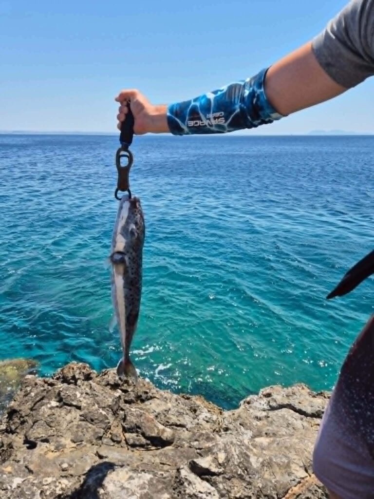 Αυτόματο προσχέδιο