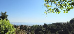 Με κατάνυξη ο εορτασμός της Οσίας Μελούς στη Βουρρίνα της Κω