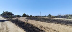 Κως: Άμεση κινητοποίηση και συντονισμένη επιχείρηση έθεσαν υπό έλεγχο τη φωτιά στο Ασπαχάρι Πυλίου