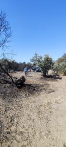 Κως: Άμεση κινητοποίηση και συντονισμένη επιχείρηση έθεσαν υπό έλεγχο τη φωτιά στο Ασπαχάρι Πυλίου