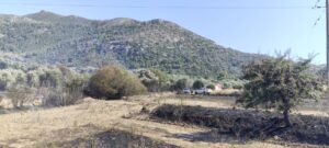 Κως: Άμεση κινητοποίηση και συντονισμένη επιχείρηση έθεσαν υπό έλεγχο τη φωτιά στο Ασπαχάρι Πυλίου
