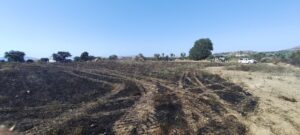 Κως: Άμεση κινητοποίηση και συντονισμένη επιχείρηση έθεσαν υπό έλεγχο τη φωτιά στο Ασπαχάρι Πυλίου
